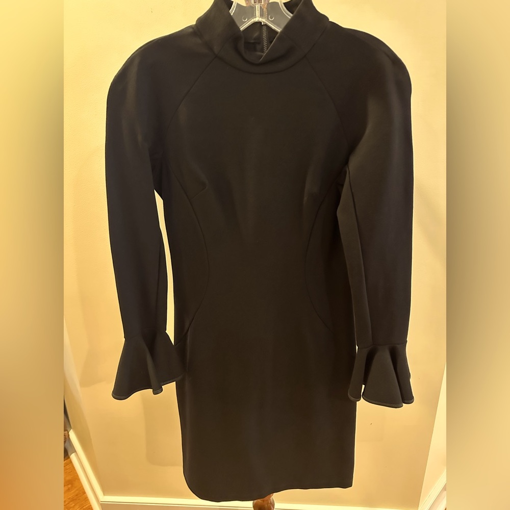 Long sleeved, black TAHARI dress